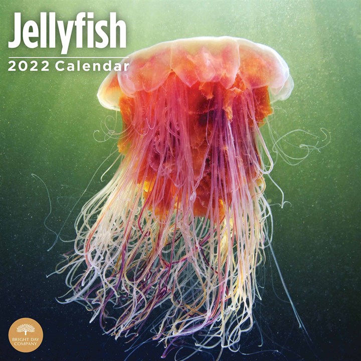 Jellyfish Calendar 2022
