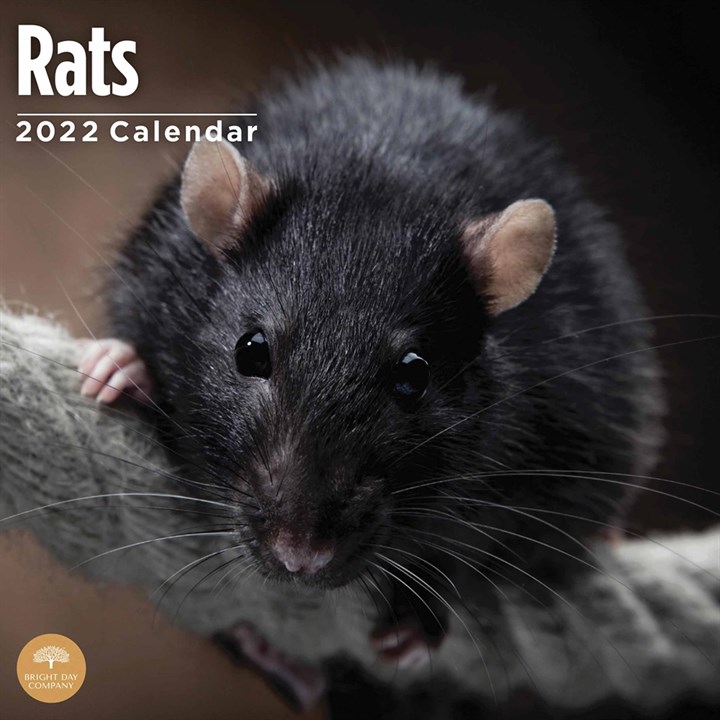 Rats Calendar 2022