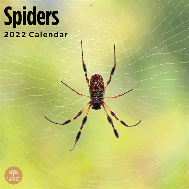 Spiders Calendar 2022