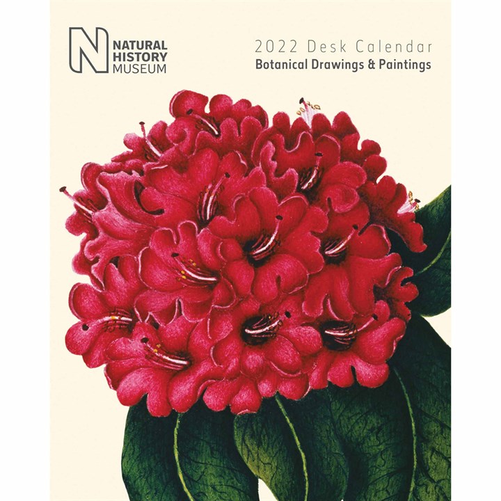 Natural History Museum, Botanical Drawings & Paintings Easel Desk Calendar 2022