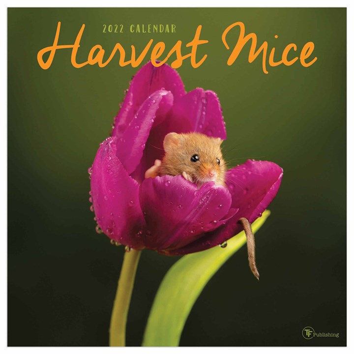 Harvest Mice Calendar 2022
