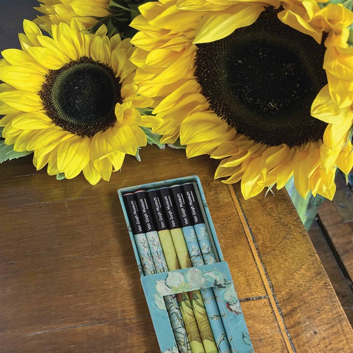 Van Gogh Pencil Set