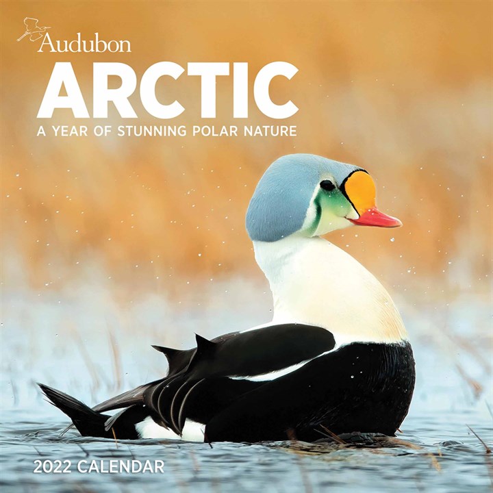 Audubon, Arctic Calendar 2022