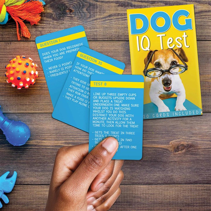 Dog IQ Cards