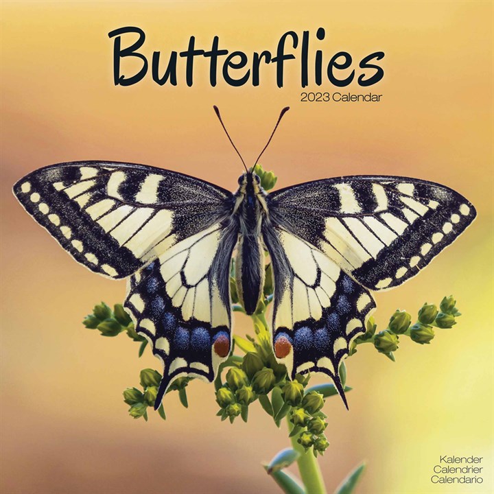 Butterflies Calendar 2023