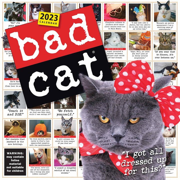 365 Days Bad Cat Calendar 2023