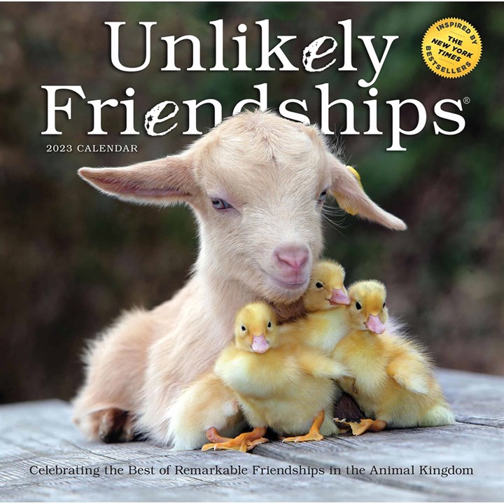 Unlikely Friendships Calendar 2023
