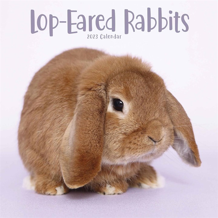 Lop-Eared Rabbits 2023 Calendars