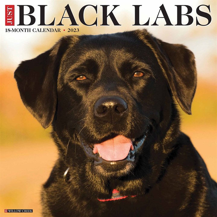 Just Black Labs Calendar 2023