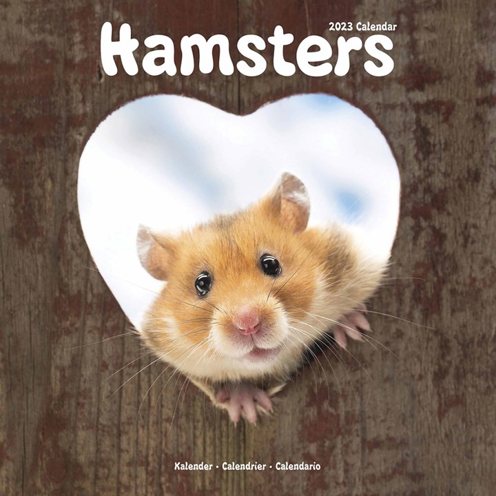 Hamsters Calendar 2023