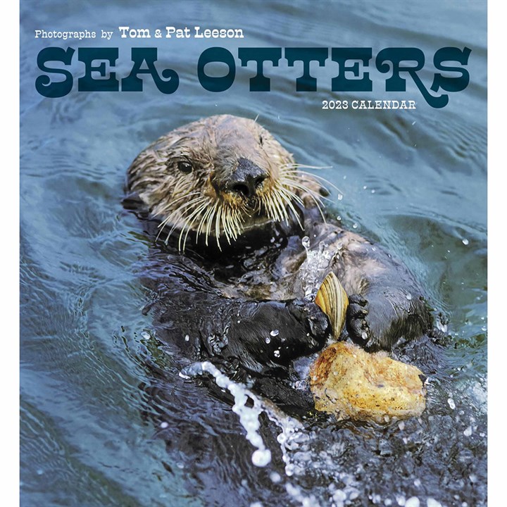 Sea Otters 2023 Calendars