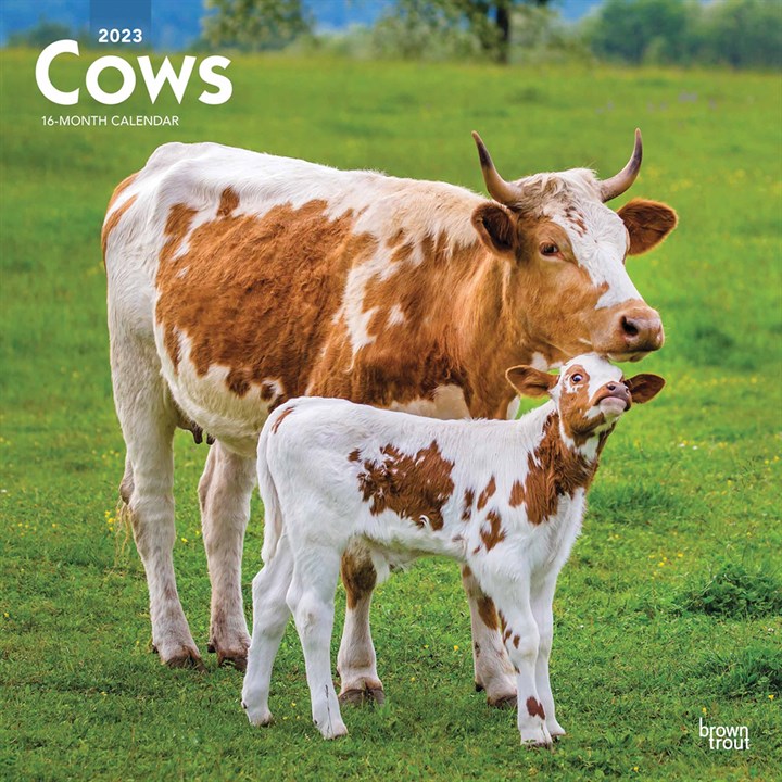Cows Calendar 2023