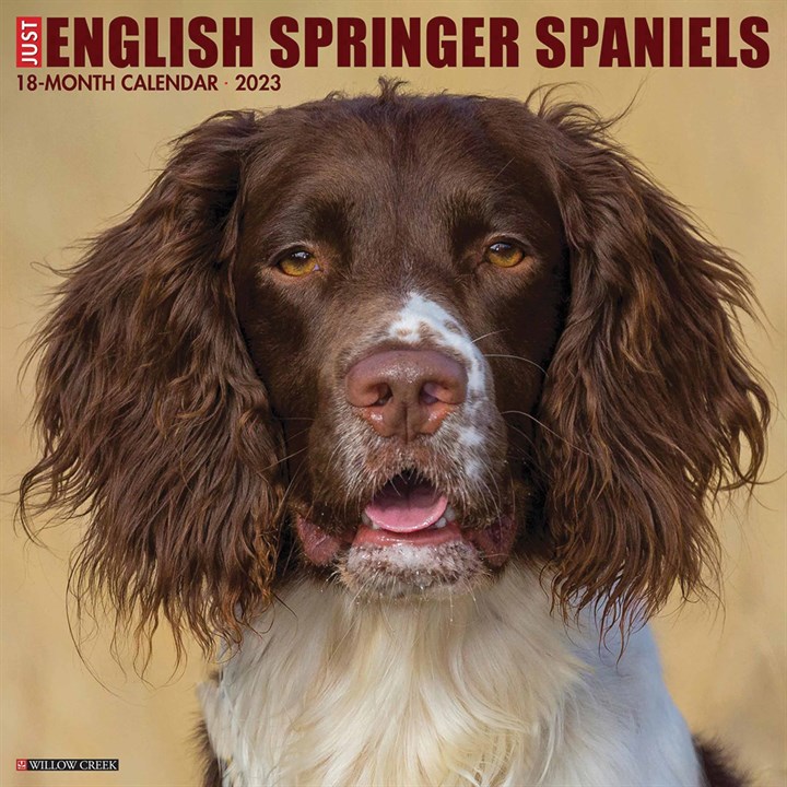 Just English Springer Spaniels 2023 Calendars