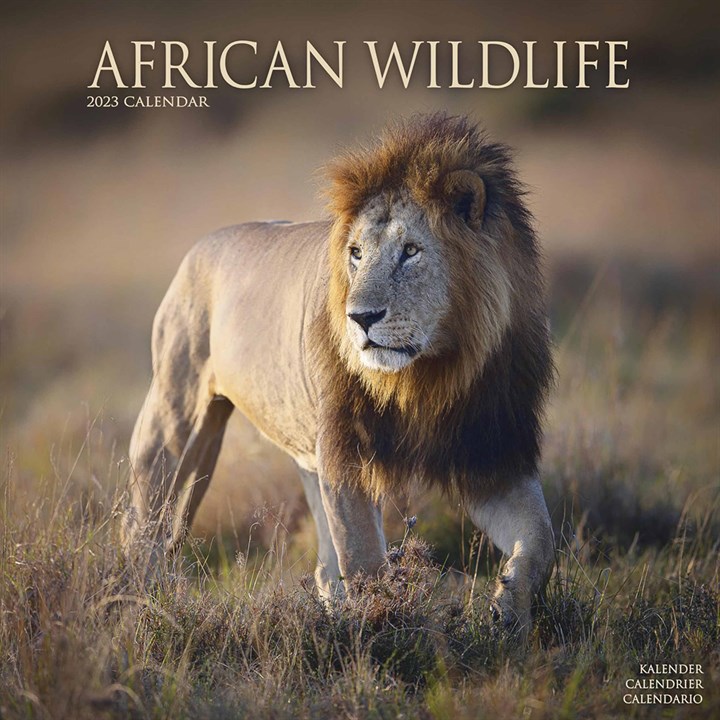 African Wildlife 2023 Calendars