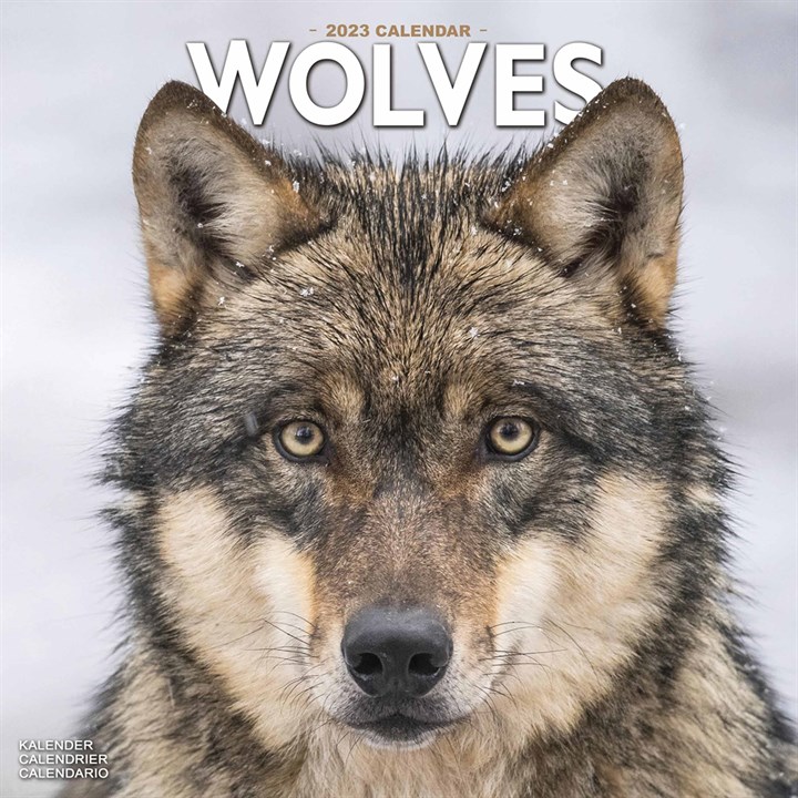 Wolves 2023 Calendars