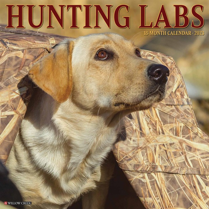 Just Hunting Labs 2023 Calendars