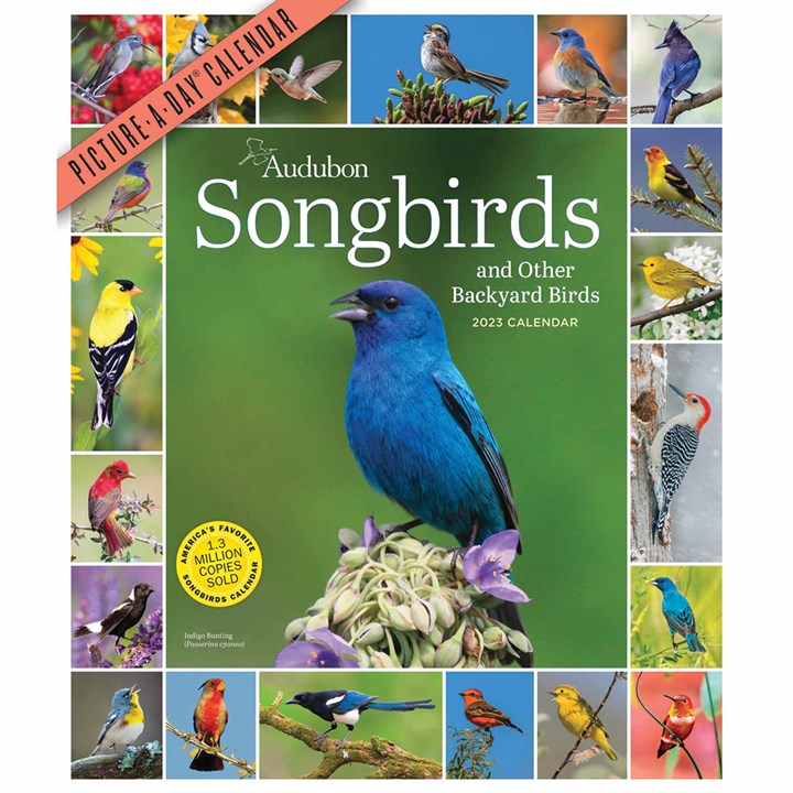 Audubon, 365 Days Of Songbirds Deluxe Calendar 2023