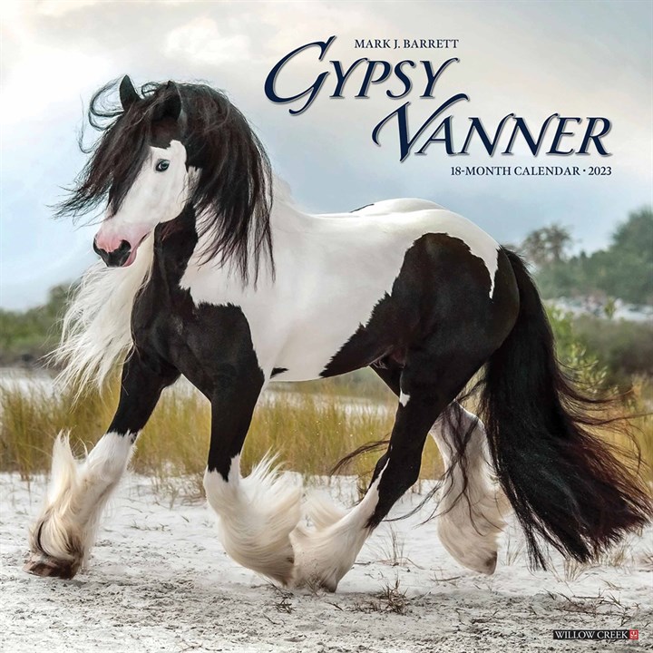 Gypsy Vanner Horse Calendar 2023