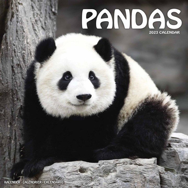 Pandas 2023 Calendars