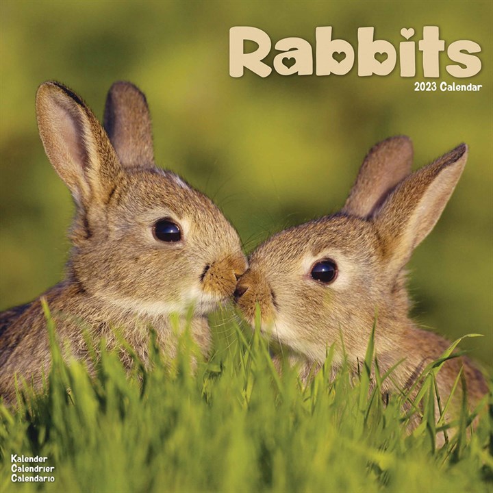 Rabbits 2023 Calendars