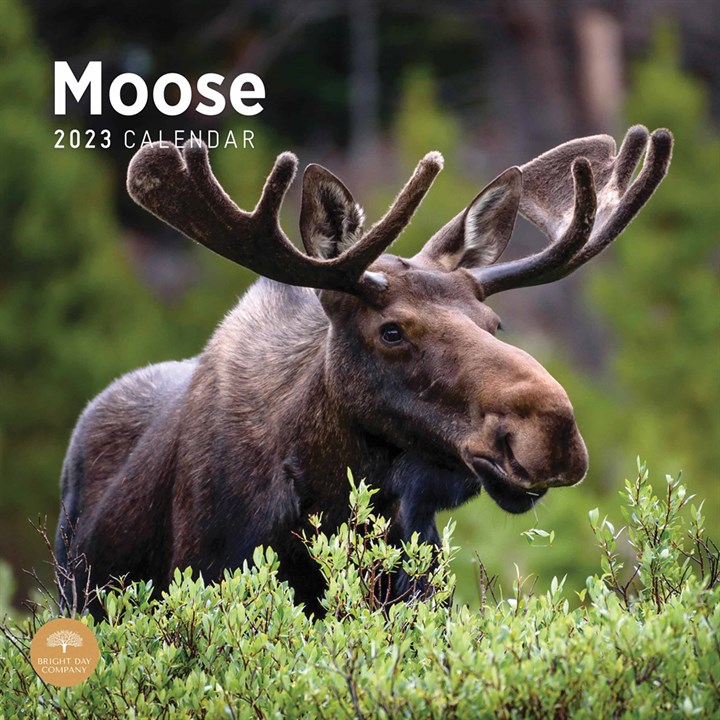 Moose 2023 Calendars
