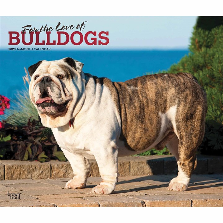 For The Love Of Bulldogs Deluxe Calendar 2023