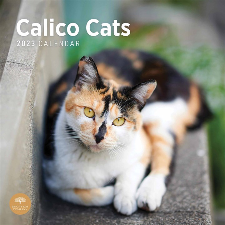 Calico Cats 2023 Calendars