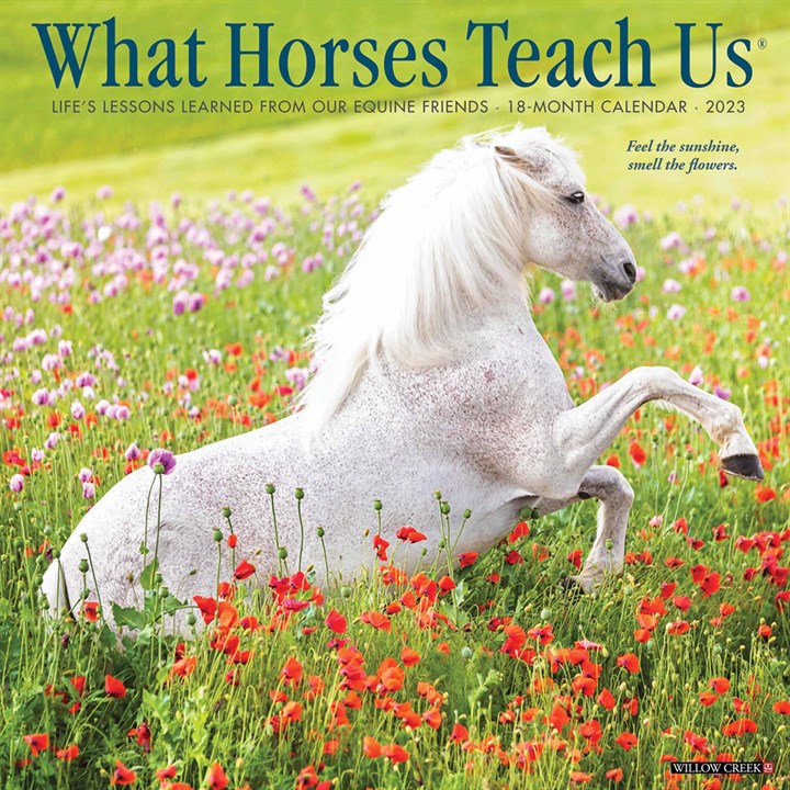 What Horses Teach Us Calendar 2023