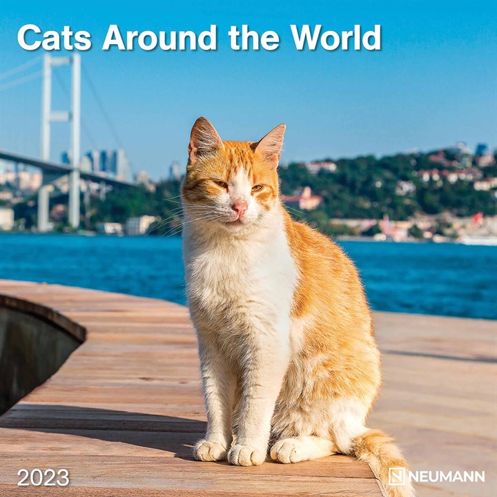 Cats Around The World Calendar 2023