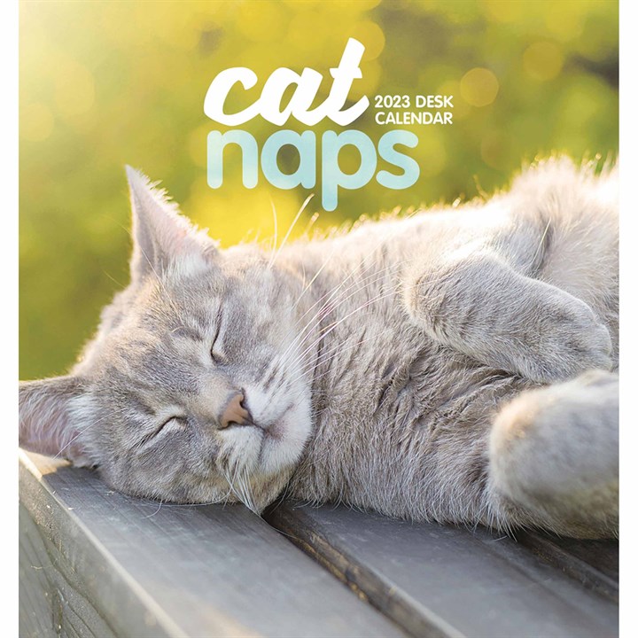 Cat Naps Easel Desk Calendar 2023