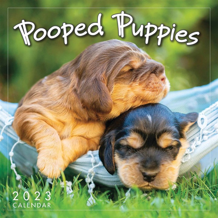 Pooped Puppies Mini Calendar 2023