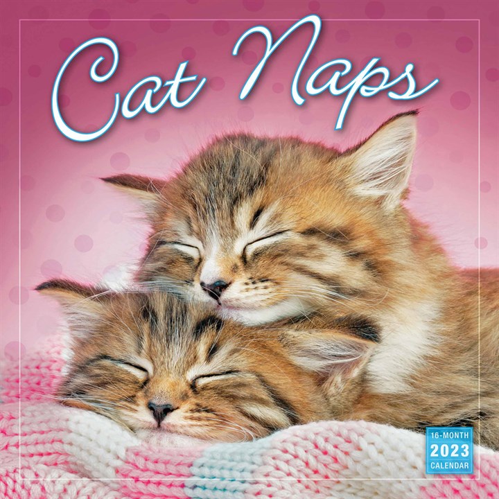 Cat Naps Calendar 2023