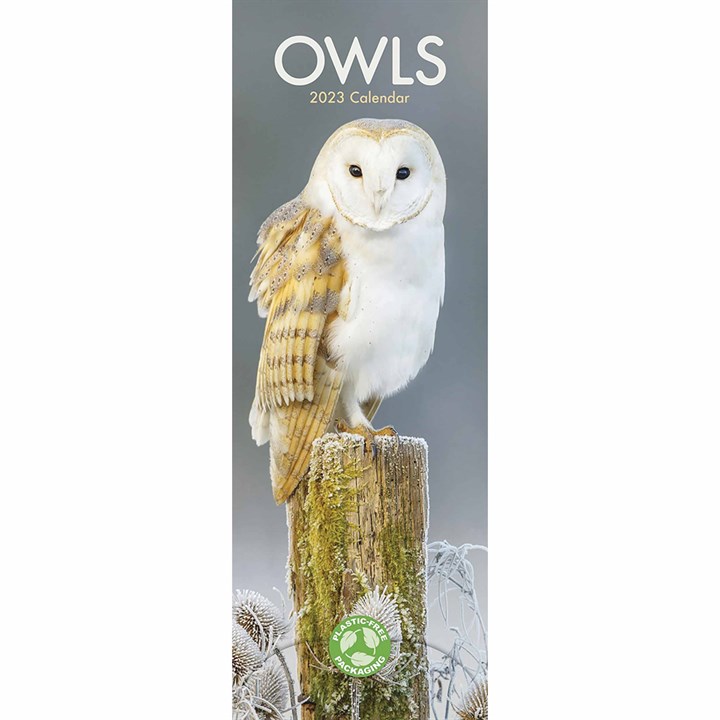 Owls Slim Calendar 2023