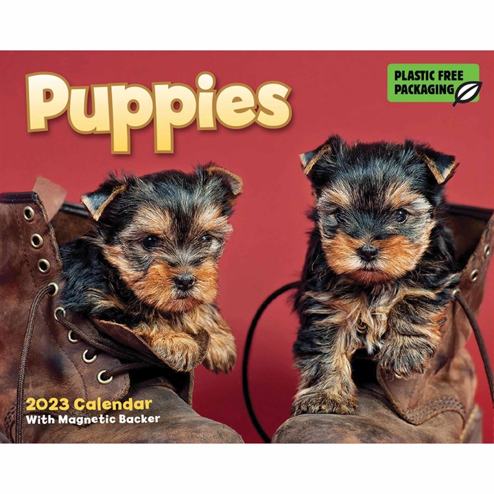 Puppies Mini Desk Calendar 2023