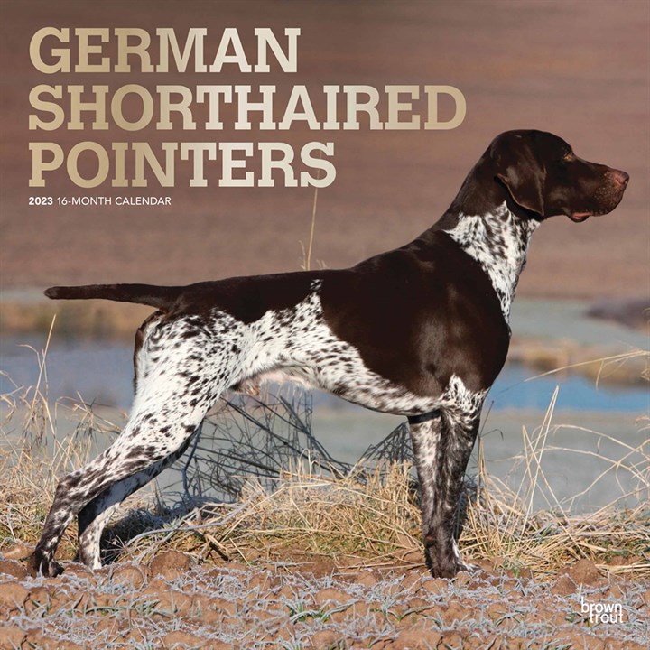 German Shorthaired Pointers 2023 Calendars