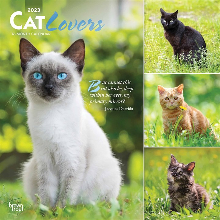 Cat Lovers Calendar 2023