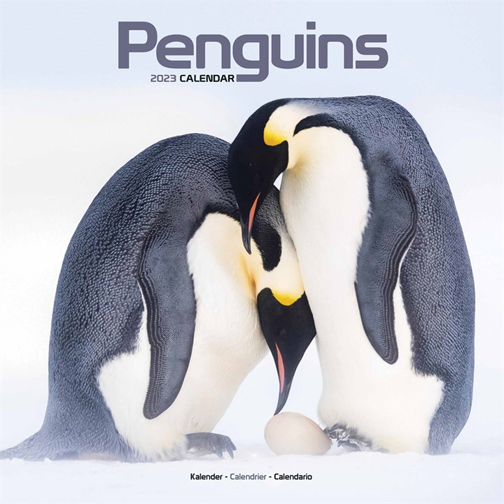 Penguins Calendar 2023