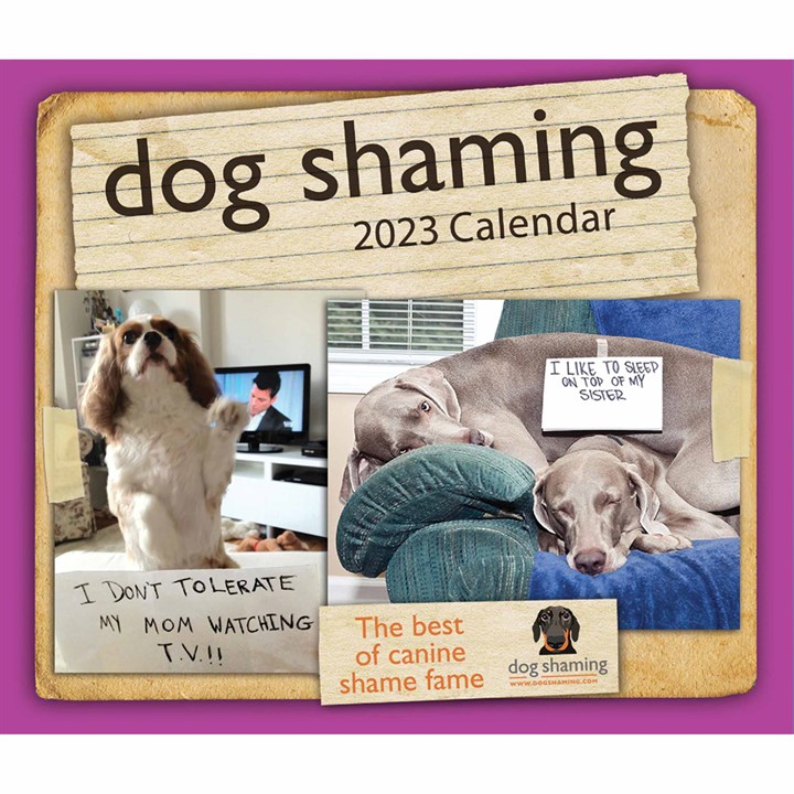 Dog Shaming Desk 2023 Calendars