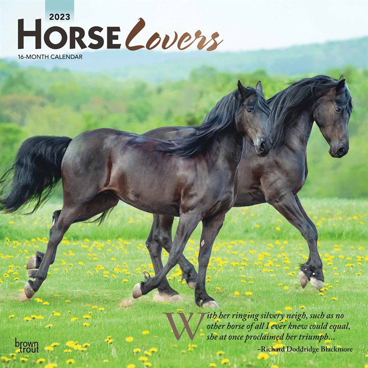 Horse Lovers 2023 Calendars