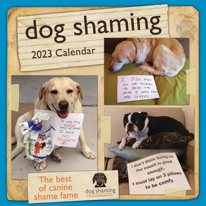 Dog Shaming 2023 Calendars
