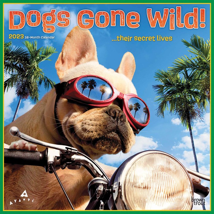 Dogs Gone Wild Calendar 2023