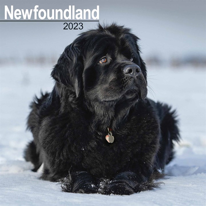 Newfoundland Calendar 2023