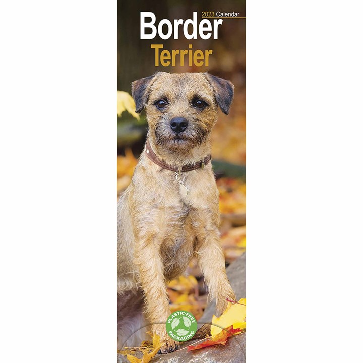 Border Terrier Slim Calendar 2023