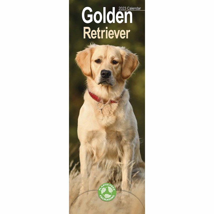 Golden Retriever Slim Calendar 2023