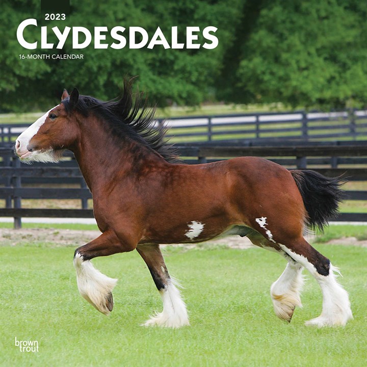 Clydesdales Calendar 2023