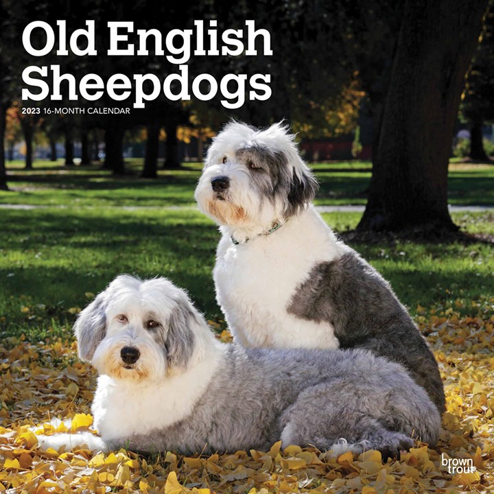 Old English Sheepdogs Calendar 2023