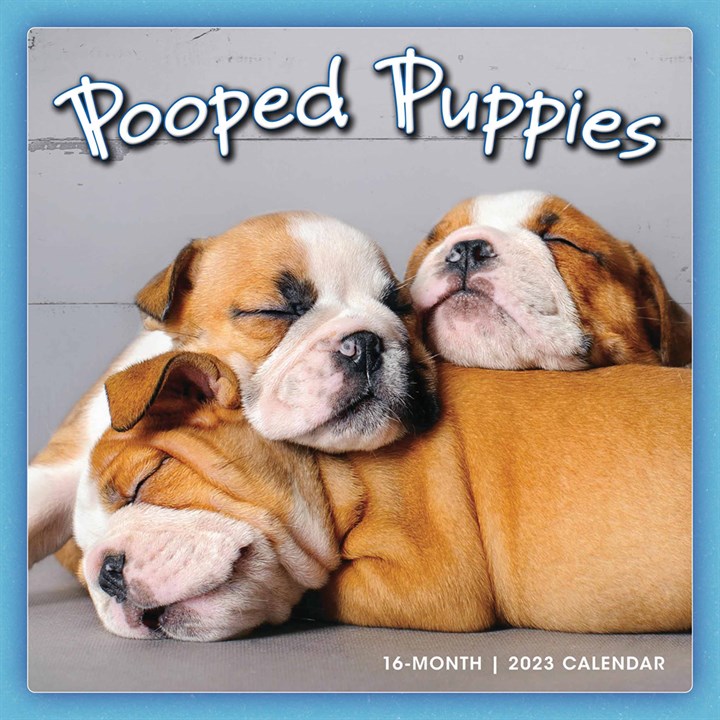 Pooped Puppies Calendar 2023