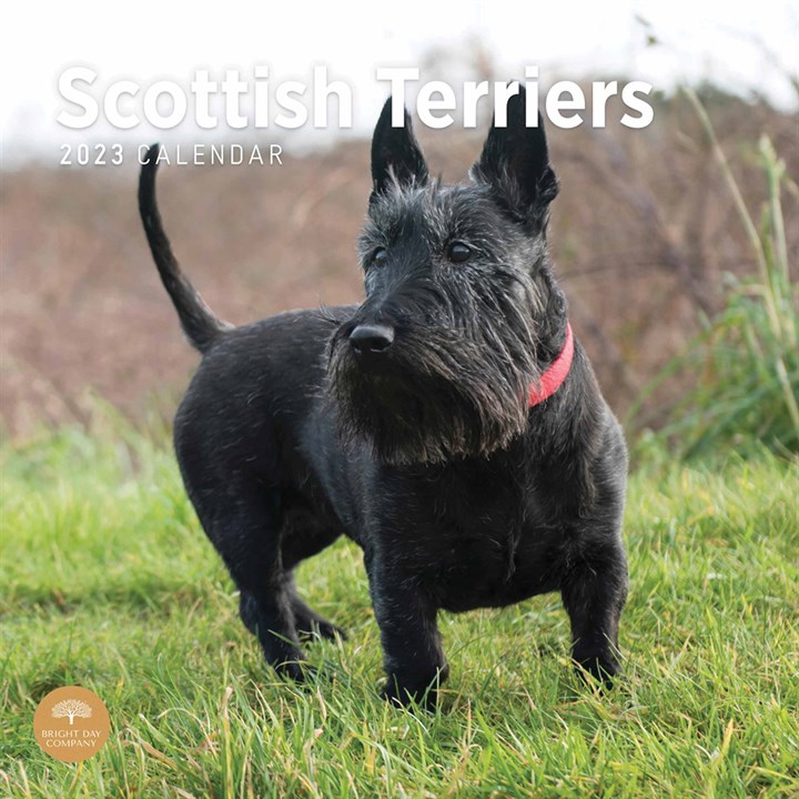 Scottish Terriers Calendar 2023