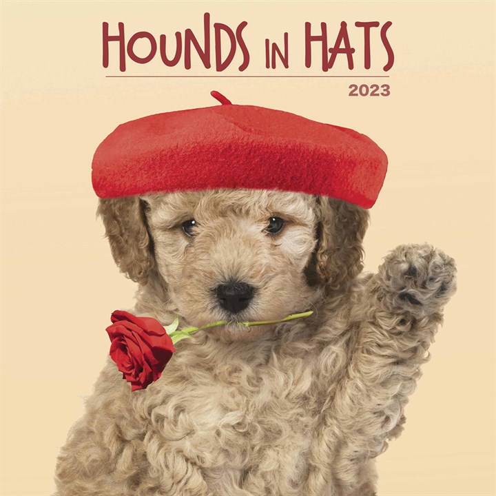 Hounds In Hats 2023 Calendars