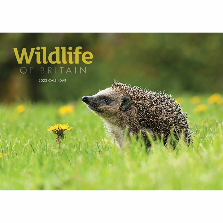 Wildlife Of Britain A4 Calendar 2023